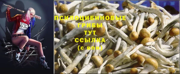 молекула духа Бугульма