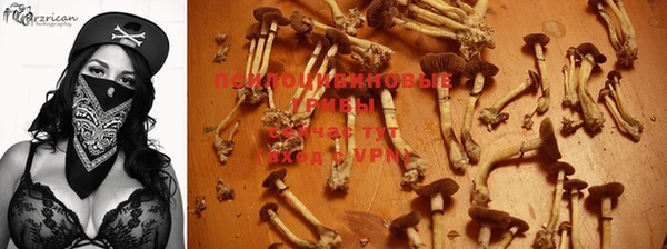 бутират Бородино