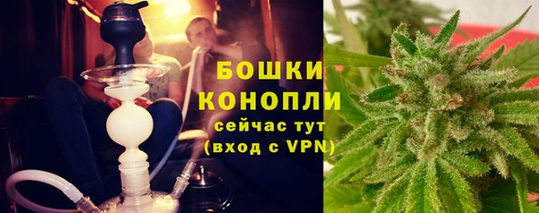 молекула духа Бугульма